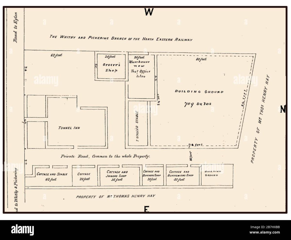 How Old Is Yor Forger in Fire Force for Spy x Familys